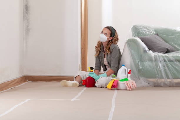Reliable Mold Inspection And Testing contractor in North Arlington, NJ by Car Mold Remediation